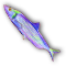 Fishflywest Icon
