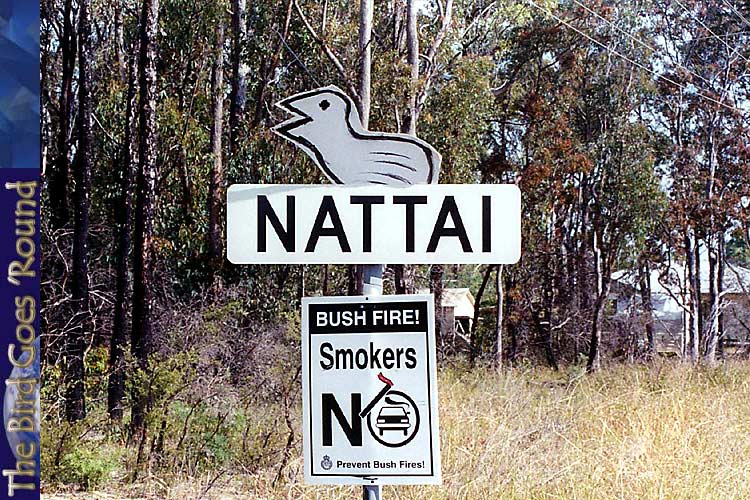 The essential picture for all those watching - here is Nattai. No more can be spoken on this matter. With this picture, we have achieved everything the Nightingale Project has set out on.