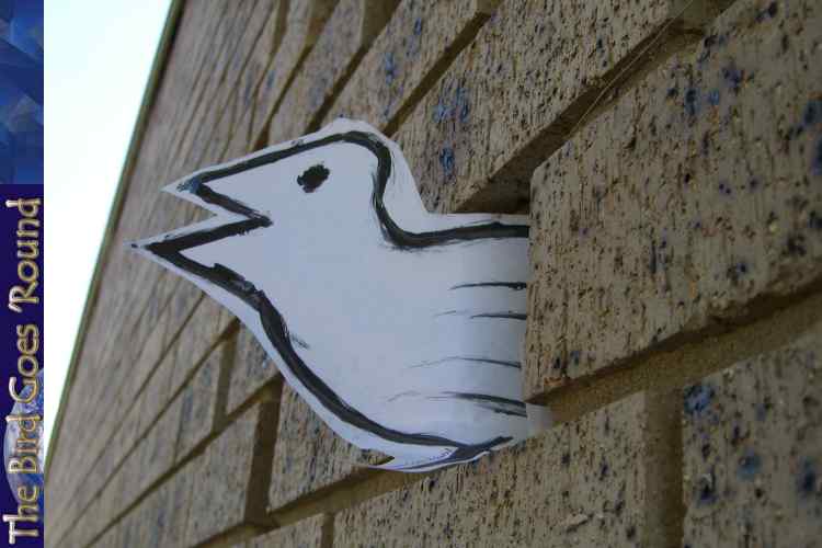 The Nightingales smaller, more common relative is the Roosting Nightingale. It is pictured here in a brick wall. Thats classy!