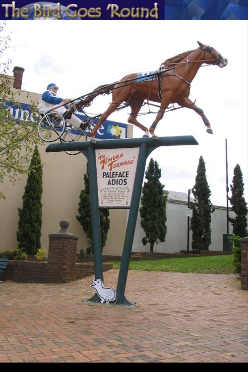 The town of Temora, home of the big horse on a pole!