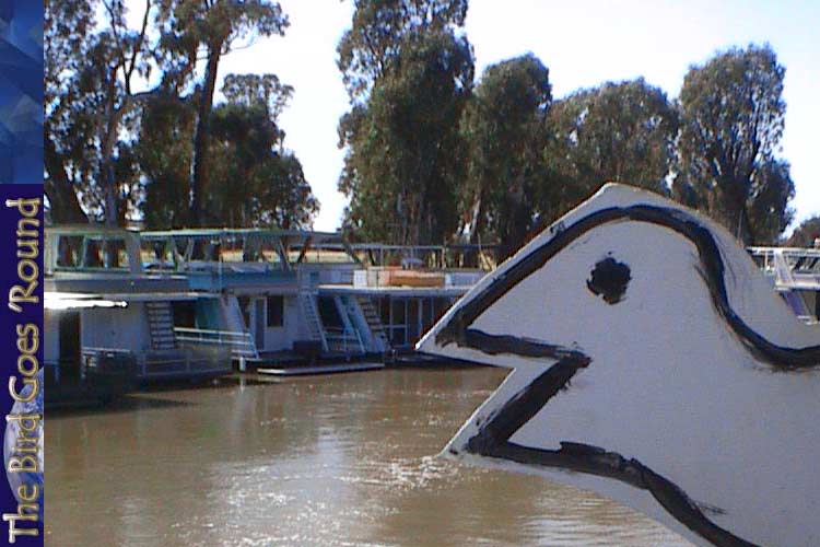The marina at Echuca. Yes, that is a strange concept.