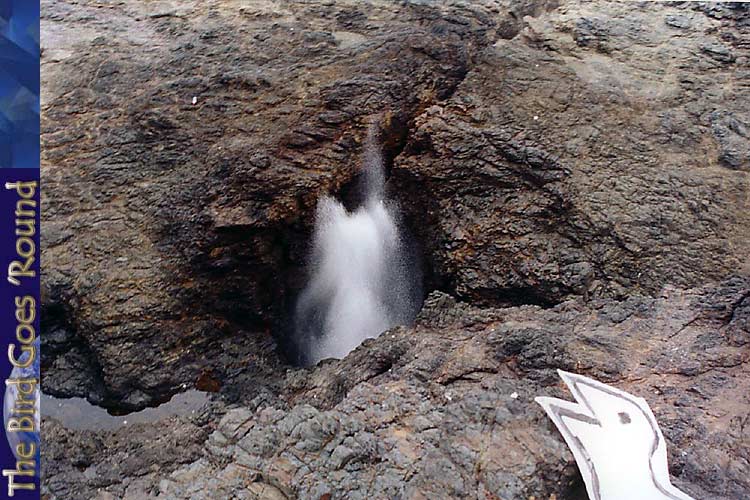 And blew this hole did.actually, not really, it's been pretty dodgy lately. Must be the giant fence they stuck up around it.it sabotaged itself when it became a popular (or, at least, safer) tourist destination. Spectacular, the bird admits, but it prefers the taste of the ice creamery in Kiama more so.