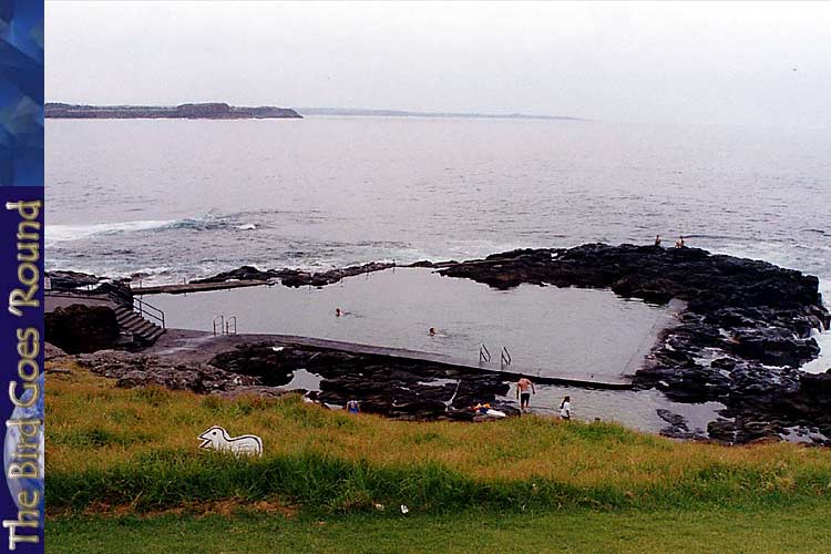 Rockpool (p.noun), Kiama: Bloody cold