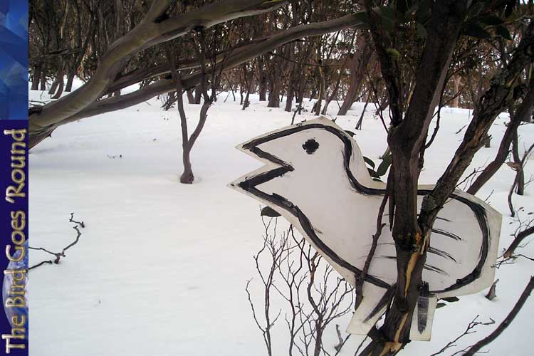 The snowgale, like it's relative the common nightingale has a tendency to sit in trees.