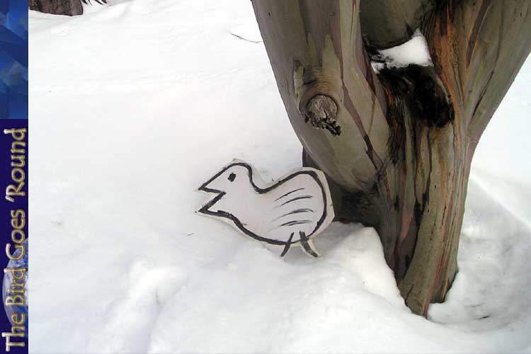 The snowgale employs camouflage to blend into its snowy environment. Note how the nightingale is virtually invisible against this backdrop of snow and ice.