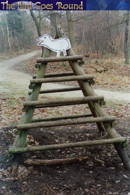 "Hey, look at me, I'm on a climbing thing." Oh, if only you could talk, sweet birdie.if only.