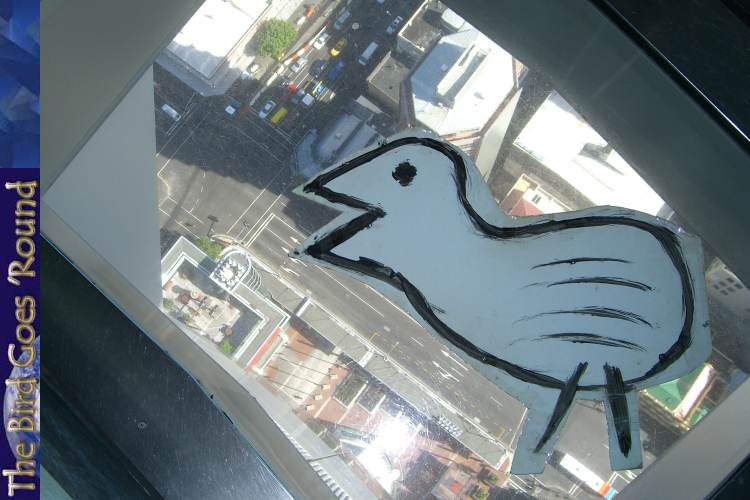 300 metres above ground level with 1cm of glass below me! Yay! I'm glad I'm only a paper bird!